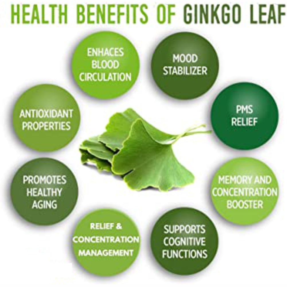 HMR NOVA Ginkgo Biloba 220gm Powder