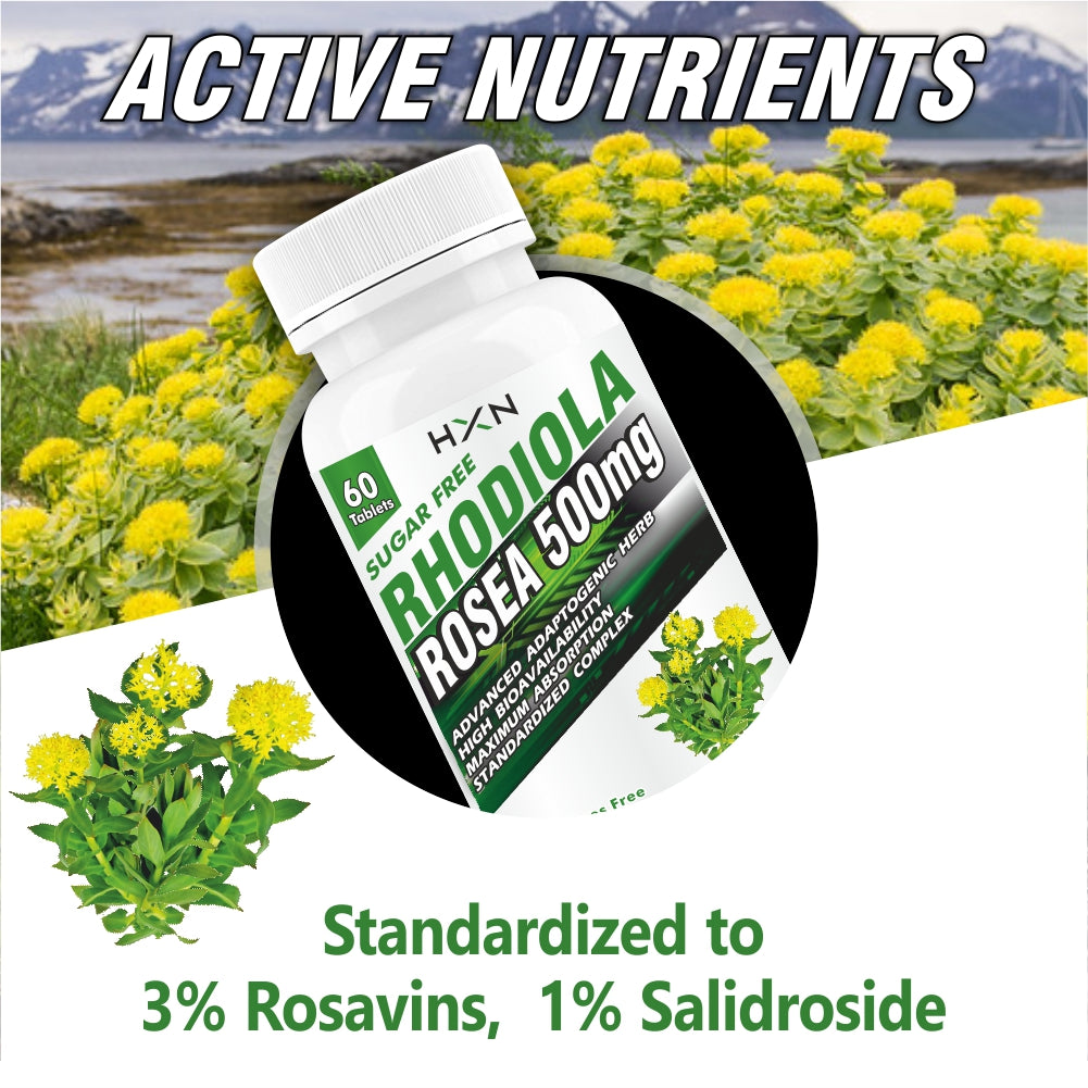 HXN Rhodiola Rosea Extract 60 Tablets