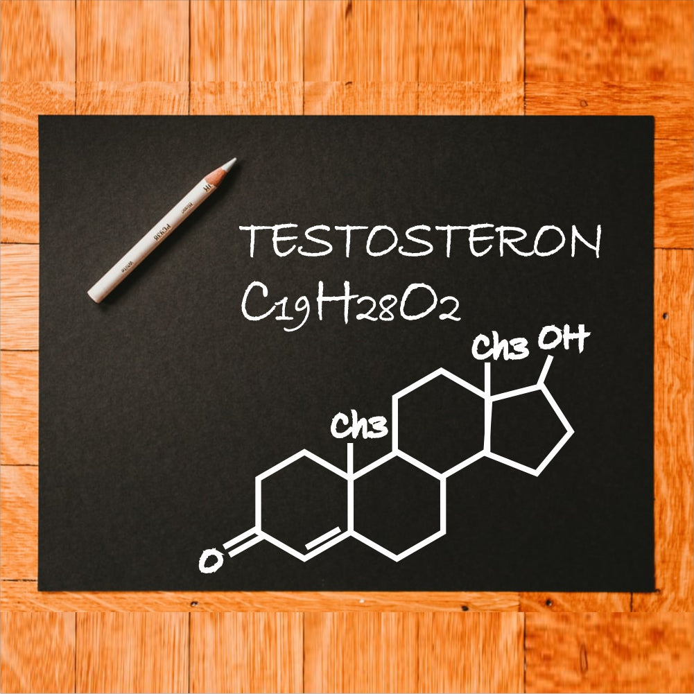 Immunescience Testosterone Booster for men 60 Tablets